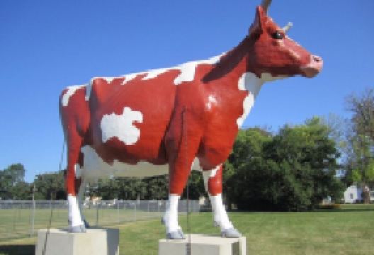 Buffy the Cow景点图片