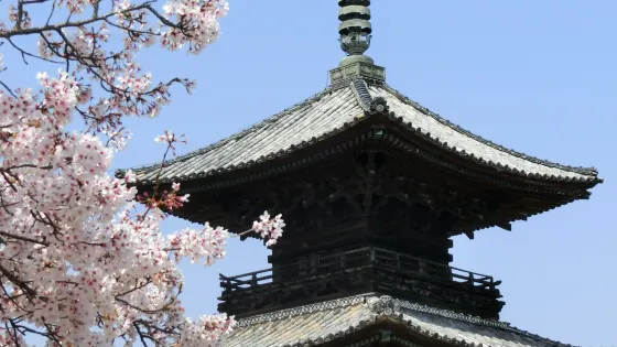 餘慶寺