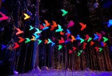 Zauberwald Lenzerheide景点图片