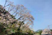 Kanayama Pilot Farm景点图片