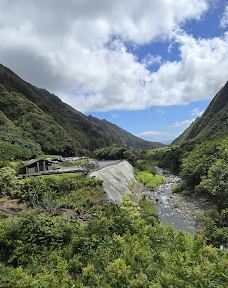 West Maui Forest Reserve-茂宜县