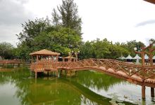 Tasik Melati Baru景点图片