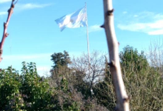 Plaza Independencia景点图片