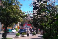 Skver "Ugolki"景点图片