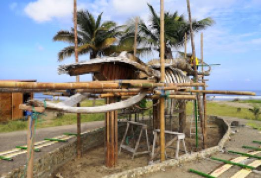 Humpback Whale Skeleton景点图片