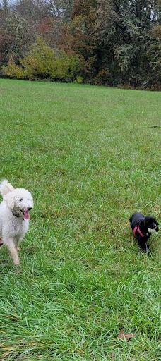 Dr. Martin Luther King Jr Park-科瓦利斯