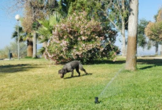 Rodríguez de la Fuente Park景点图片