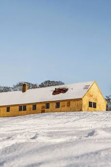Danmarks Borgcenter-沃尔丁堡