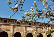 palazzo maggi景点图片