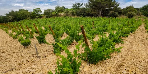 Domaine Marcel Richaud