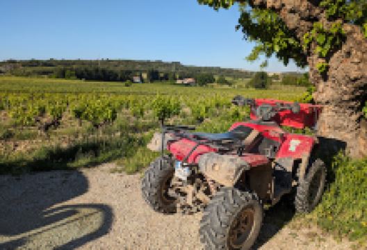 Domaine Charvin景点图片