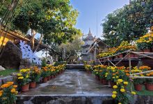 Thiền tự Bửu Sơn景点图片