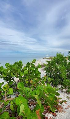 Tigertail Beach-马可岛