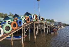 Mangrove Forest景点图片
