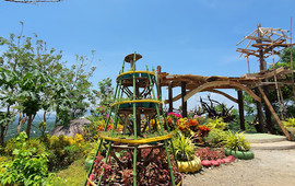 Daang Katutubo Coffee Shop