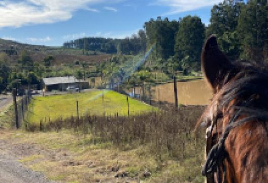 Barraco Old House景点图片