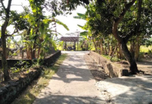 Mushola Balai Desa Karakan,weru ,sukoharjo景点图片