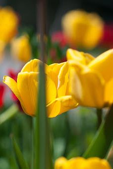 米苏拉KOA霍利迪-米苏拉