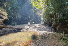 Falls walking track景点图片