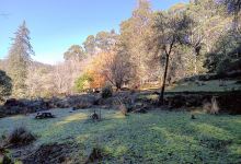Clover arboretum景点图片