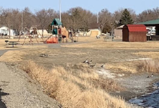 Lions Family Park景点图片