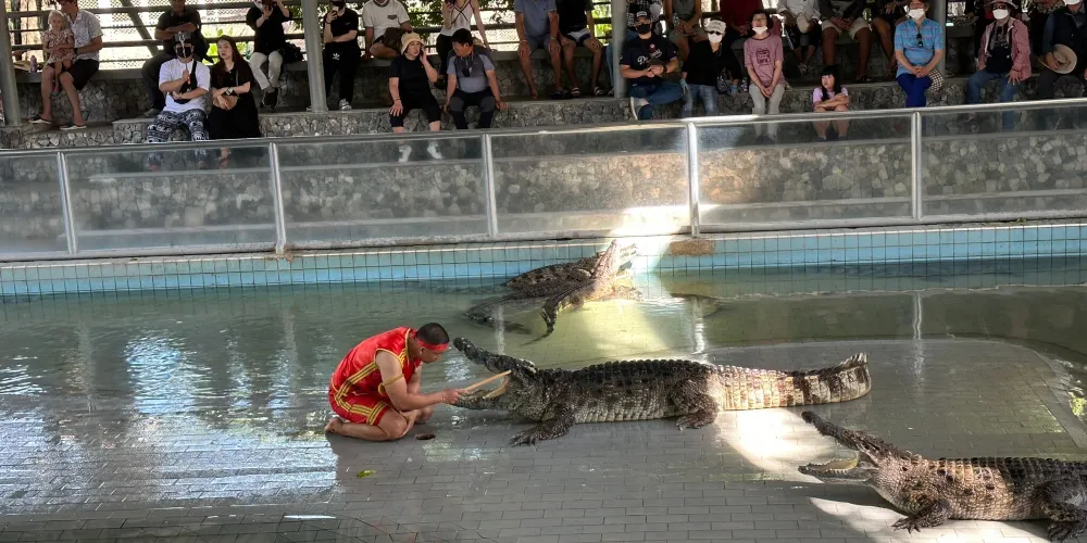永安旅遊