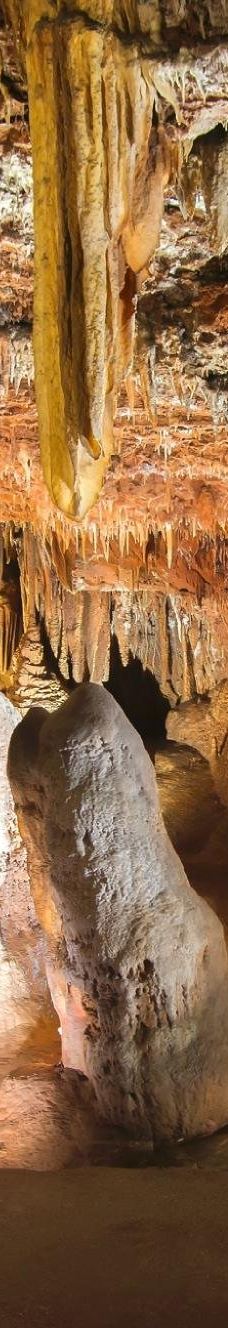 Jama - Grotta Baredine-Gedici