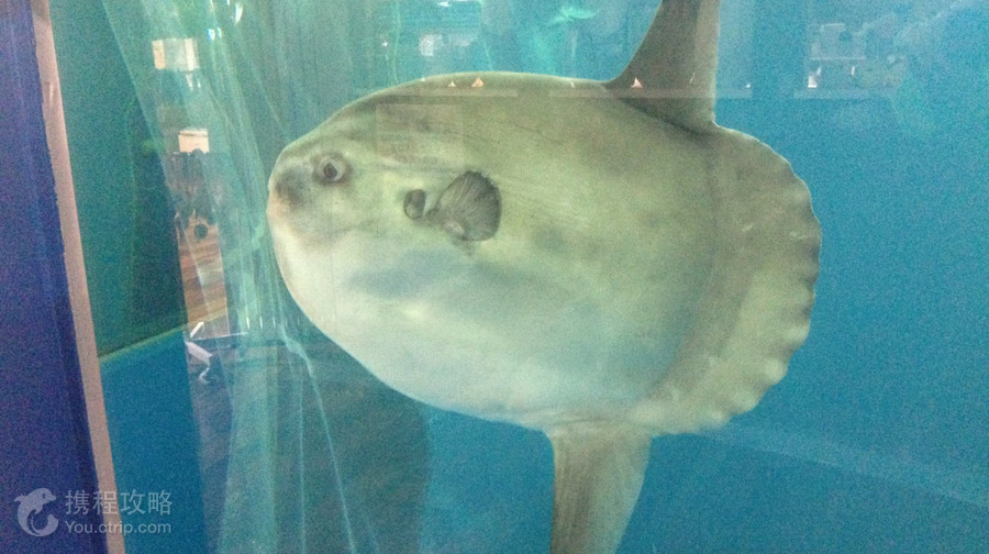 越前松島水族館