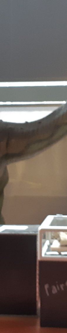 Musee des Dinosaures 'Dinosauria'-埃斯佩拉扎