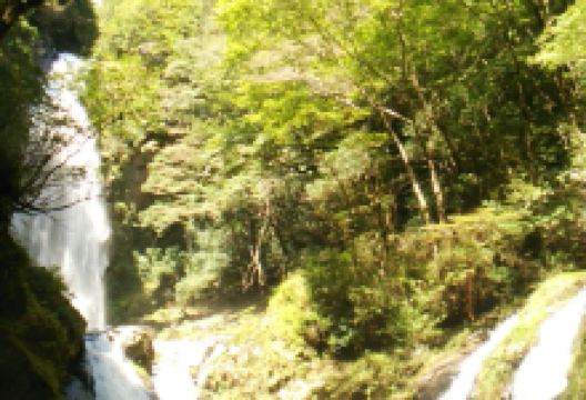 Tatsugaiwa Water Fall景点图片