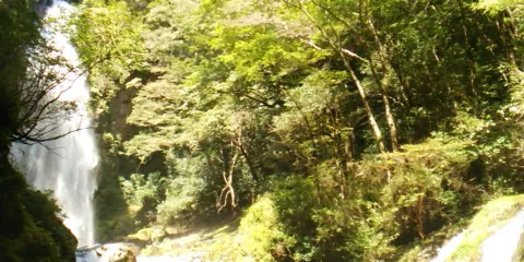 Tatsugaiwa Water Fall