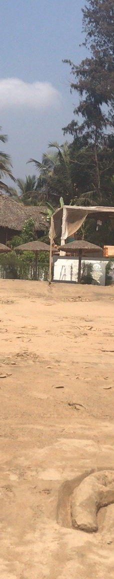 阿贡达海滩-雅高达