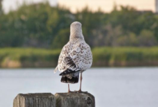 Crystal Lake景点图片