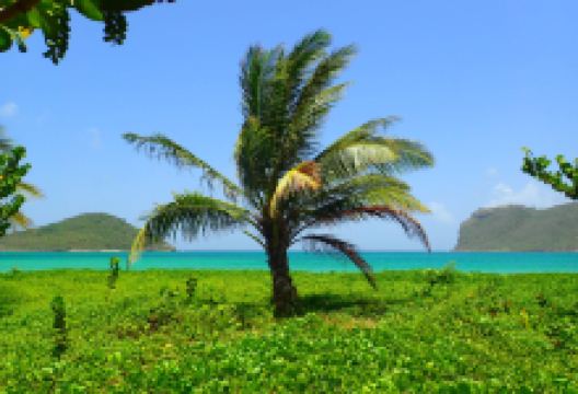 Sandy Beach景点图片