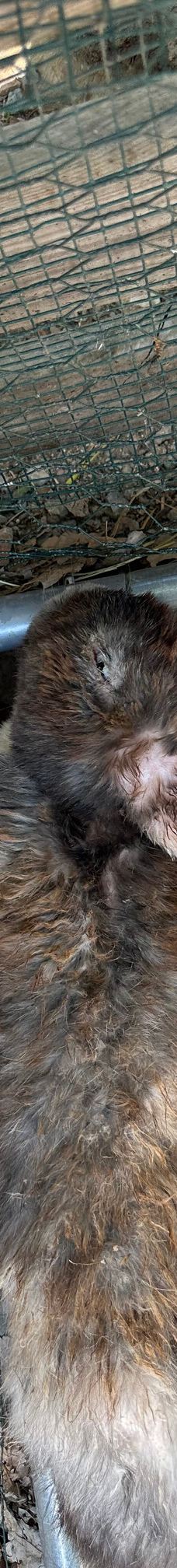 Discovery Farm Saint-André-滨海阿热莱斯