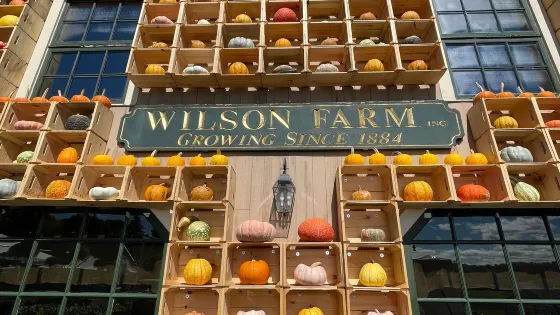 Wilson Farm