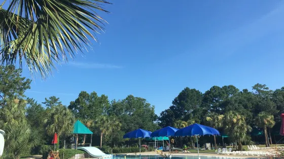 Mount Pleasant Palmetto Islands County Park