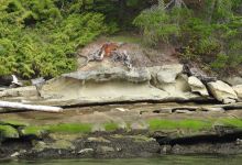 Descanso Bay Regional Park景点图片