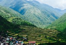 Bayyo Rice Terraces景点图片