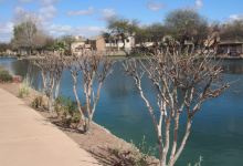 Sahuarita Lake景点图片