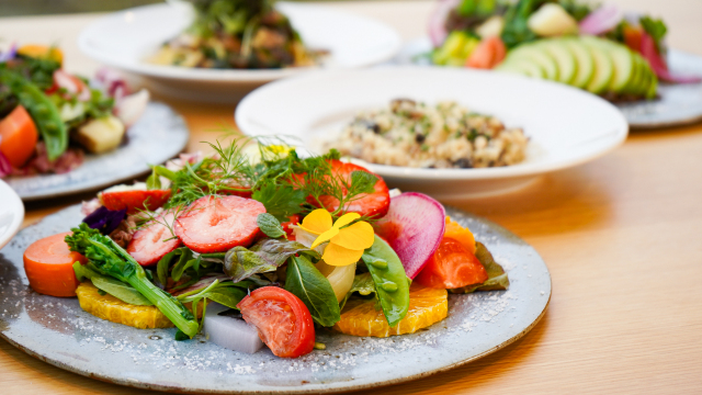 Vegan Trattoria Sui