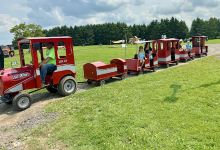 Sweet Pea’s Farm (Summer Fun & Pumpkinfest)景点图片