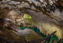 Cenotes Zapote Ecoparque景点图片