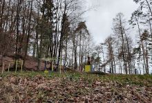 Calisthenics Park景点图片
