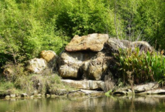 Firemens Park景点图片