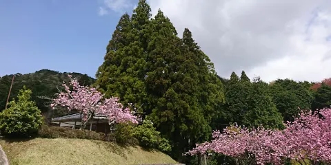和田寺