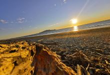 Te Horo Beach景点图片