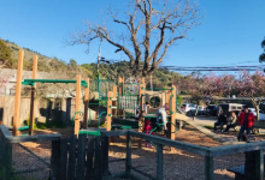 Village Green Park景点图片