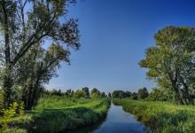 Palude del Brusà Palude del Brusa景点图片