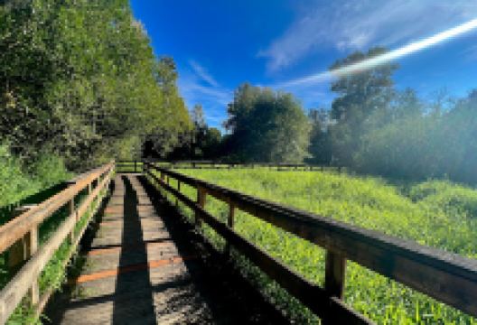 The Park at Bothell Landing景点图片